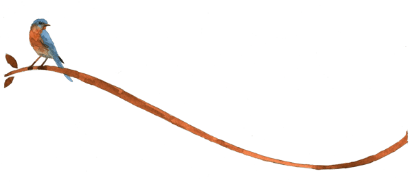 FLIPLogo+bird+watercolor+DKbranch1CO