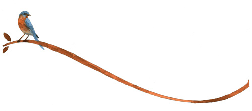 FLIPLogo+bird+watercolor+DKbranch1CO FLIPLogo+bird+watercolor+DKbranch1CO