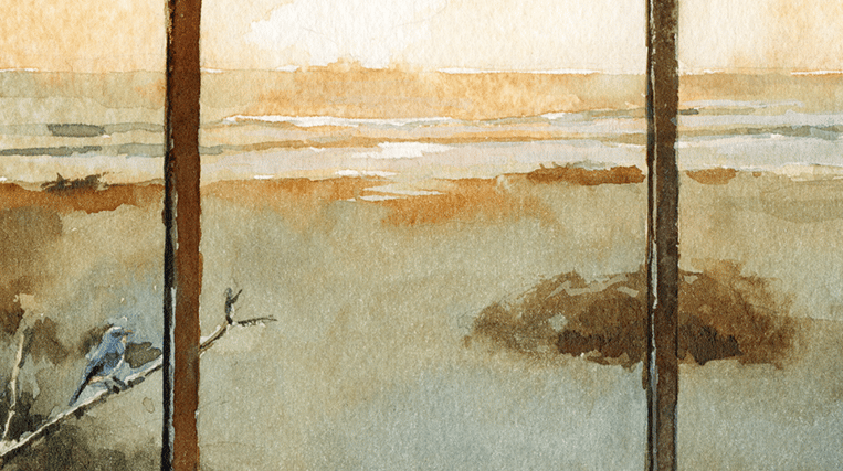 NewsletterCrop-HamptonsWindow