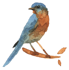 Watercolor bird illustration Watercolor bird illustration