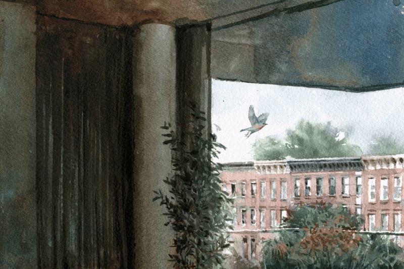 TrustHouse+Header+Image+(1)